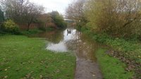 IMG_20161124_093828.jpg
