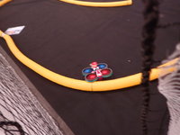PB260437.JPG