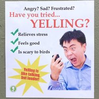 Yelling.jpg