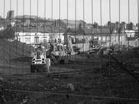 SDC11024.JPG