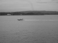 SDC11026.JPG