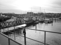 SDC11029.JPG