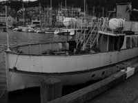 SDC11035.JPG