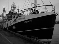 SDC11040.JPG