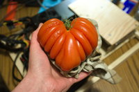 DSCF6462.jpg