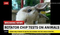 saynotoanimalcruelty.jpg