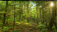 xscreenshot-2019-09-04T112342.png