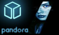 panora-black_edit.jpg