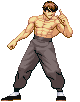 feilong - ssf2.gif