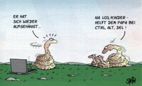 bild.jpg