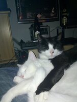 20120309_002.jpg