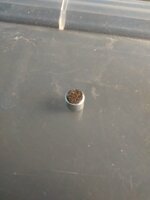 IMG_20201010_180027.jpg