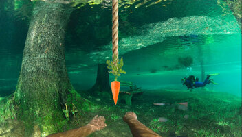 Dangling_Carrot_Level4-AustriaForest.jpg