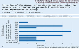 Peter_Schirmacher-CovidEinschraenkungen.png