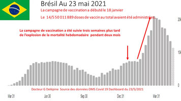 CovRise_2021_05_Brazil.jpg