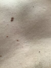 60CD3733-EA85-401F-B667-FF942C1E2EA0.jpeg