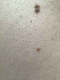 0C582C9D-5929-47BE-967F-1F33472C9F31.jpeg