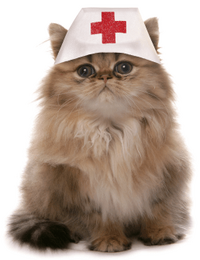 p_docter.png