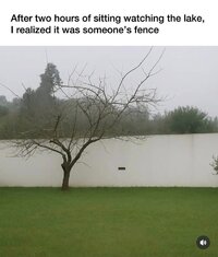 7964.jpg