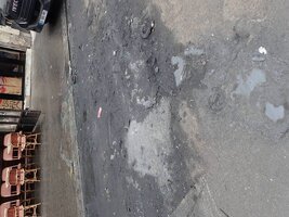 PA193115.JPG