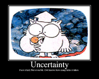 Uncertainty.png