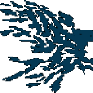 RavenX