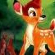 bambi007