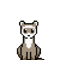 The Red Ferret