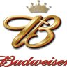 budweiser