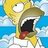 homerj81