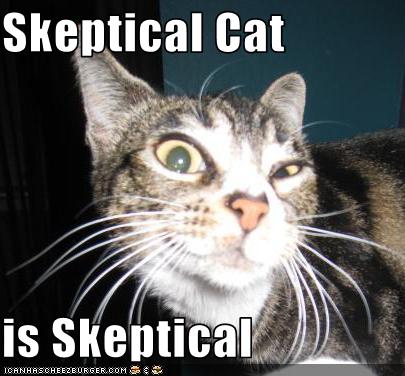 skeptical-cat.jpeg