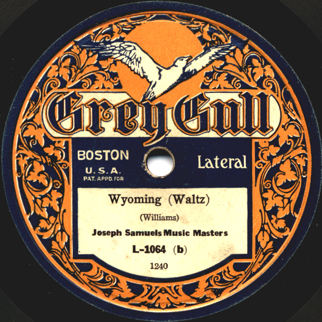 GreyGullL-1064.jpg