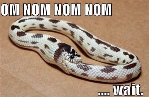snake-fail-lolspa.jpg