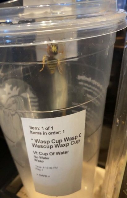 baristas-hilarious-cursed-drink-orders-604752f359f56-700.jpg