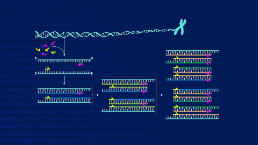 www.genome.gov