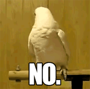 no-bird.gif