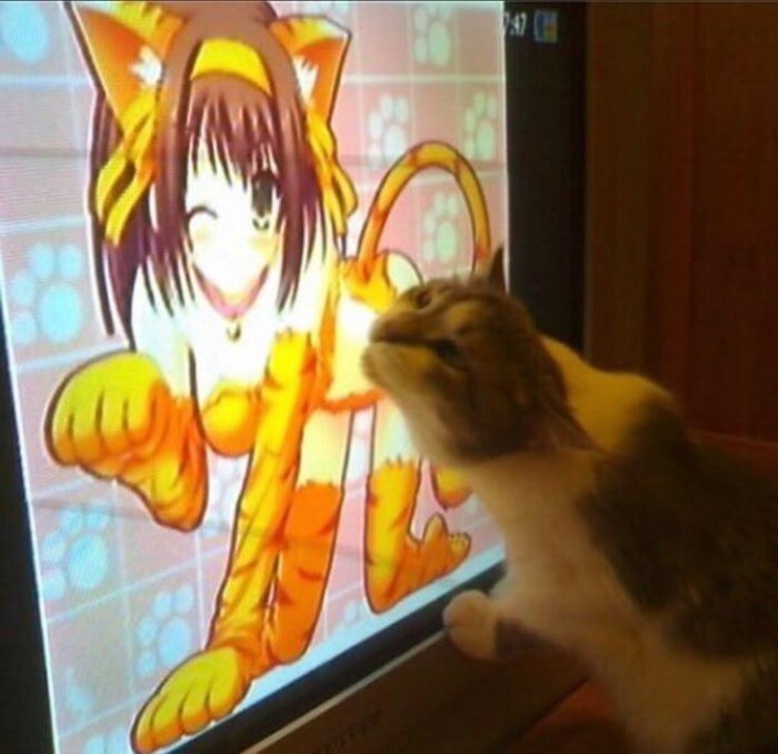 09ZUn1cs.jpeg