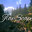 pixelforest.itch.io
