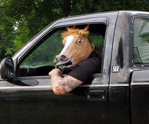 horse-mask.jpg