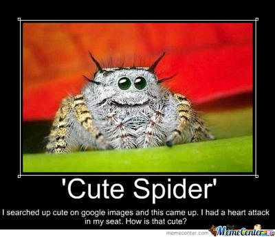 _cute__spider_by_amylovespenguins-d65x46t.jpg