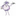 www.purpleonioncafe.com