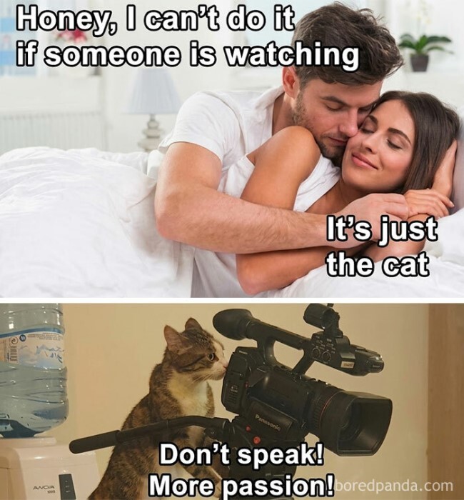 E4C7HOl1.jpg