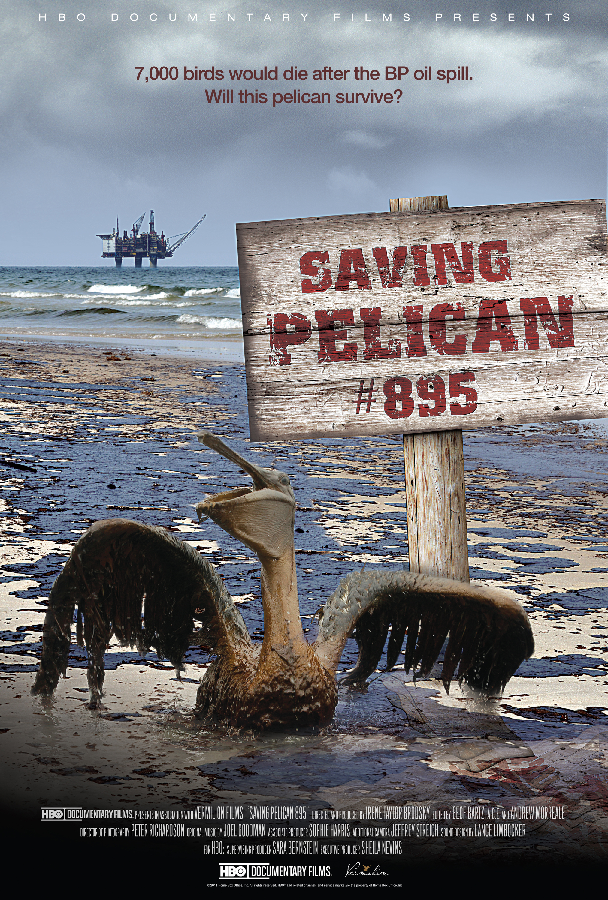pelican-poster.jpeg