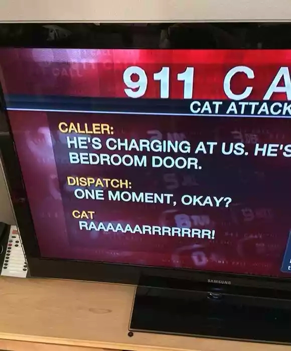 84668497.png