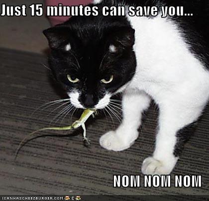 funny-pictures-just15minutes-geico.jpg