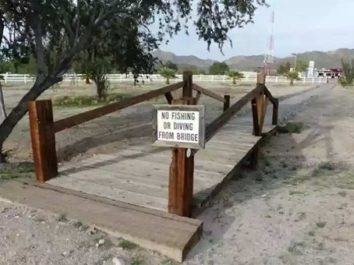 591c4f49dacb4-stupid-signs-for-stupid-people-20-photos-17-700.png