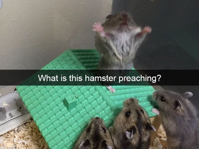 5v0hbsgcgyv51.jpg