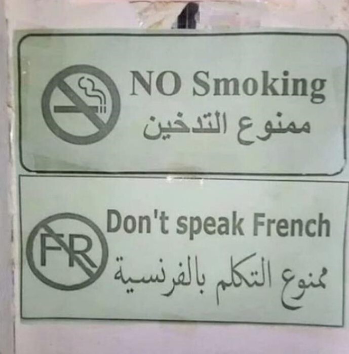 iobZ2r8y.jpeg