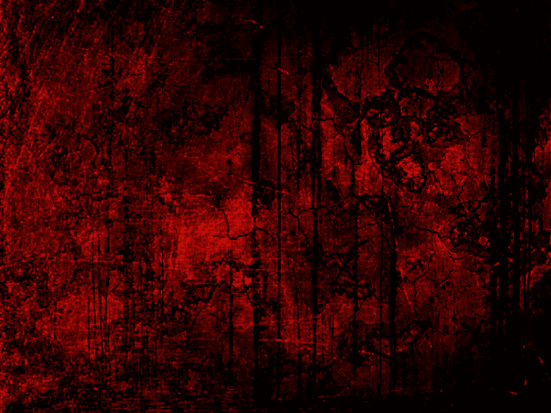 holding-dark-red-rose1.png
