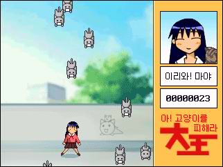azcat.jpg